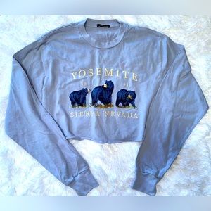 Brandy Melville Yosemite Long Sleeve Crop Tee Blue NWOT